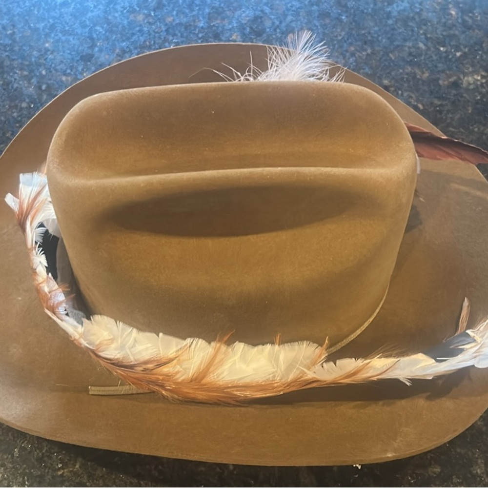 Stetson Brown Feather-Trimmed Men's Hat